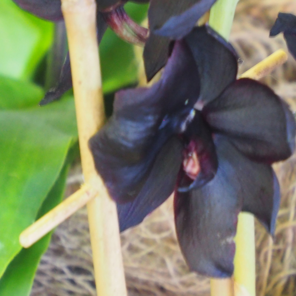 vergeze_2025